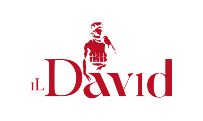 Logo Il David